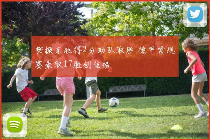 樊振东独得2分助队取胜 德甲常规赛豪取17胜创佳绩