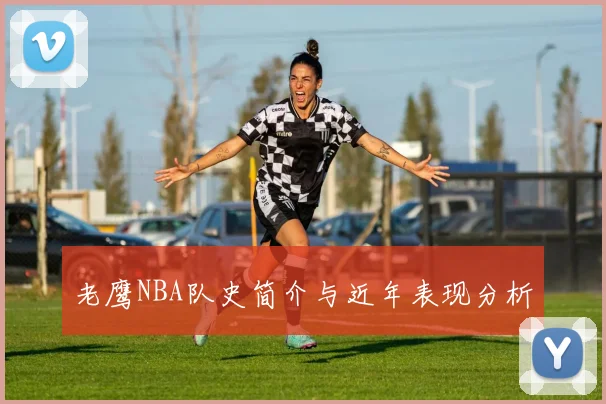 老鹰NBA队史简介与近年表现分析