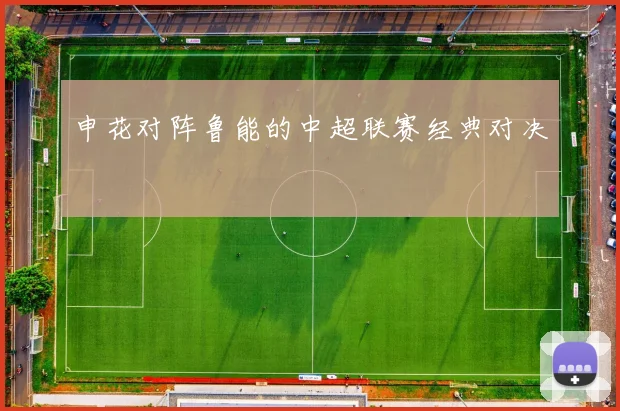 申花对阵鲁能的中超联赛经典对决