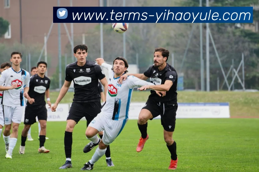 壹号体育平台生态图